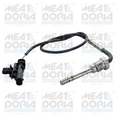 Sensor, exhaust gas temperature
